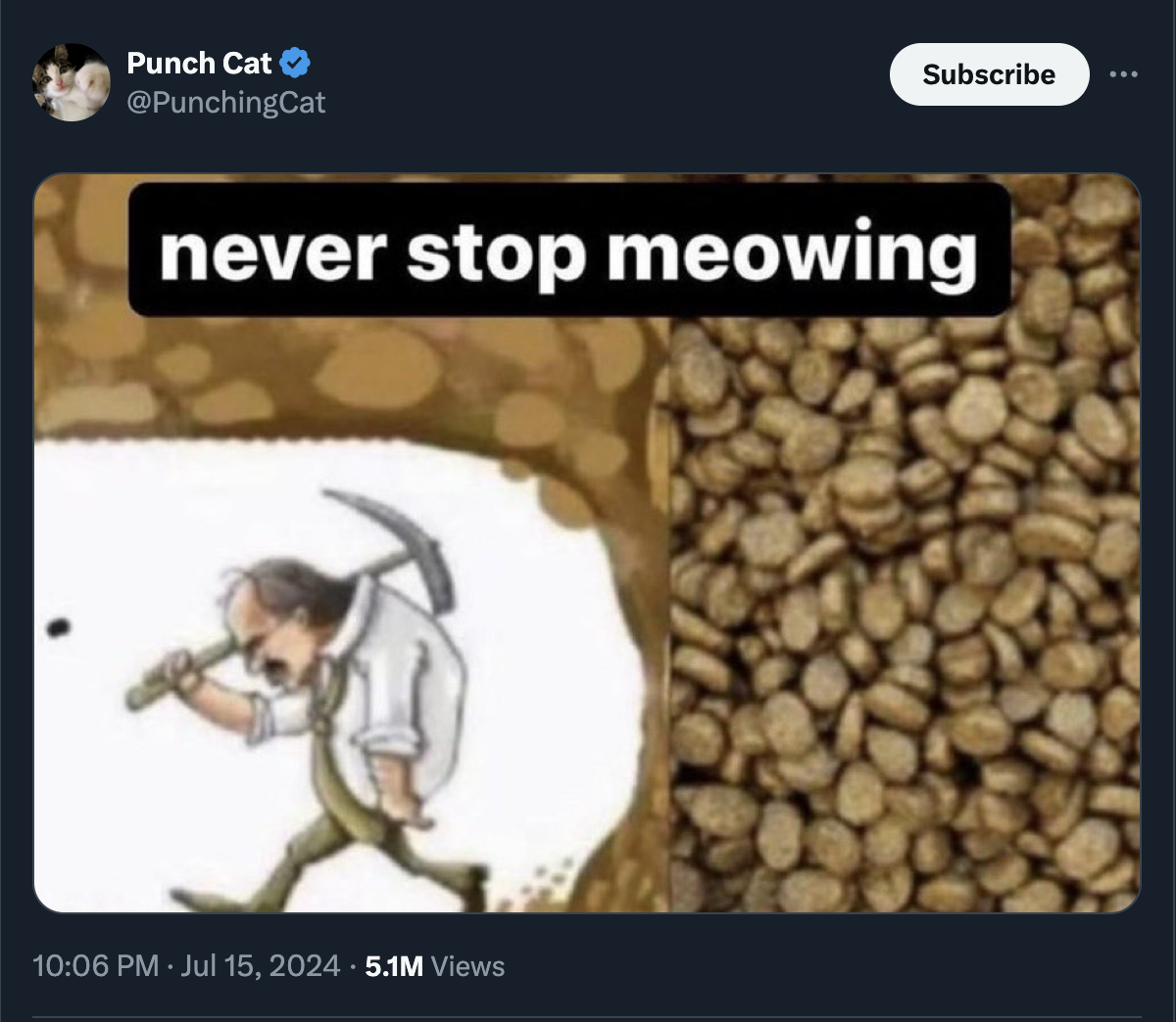 never stop meowing - Punch Cat Subscribe never stop meowing . 5.1M Views